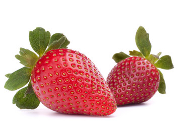 Similar image 5492689