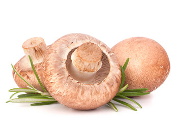 Similar image 5492715