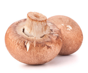 Similar image 5492720