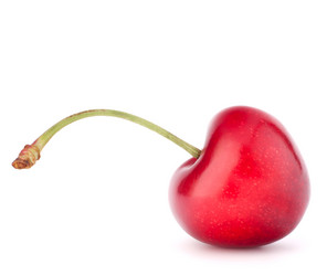 Similar image 5492721