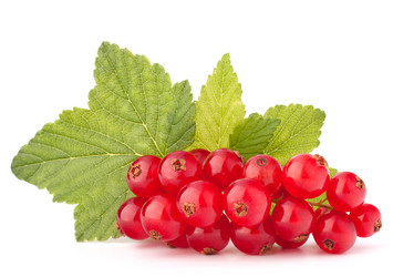 Similar image 5492725