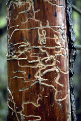 Similar image 5492733