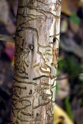 Similar image 5492734