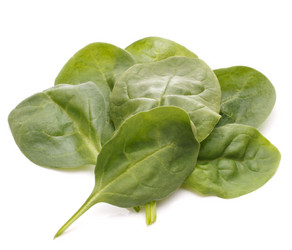 Similar image 5492782