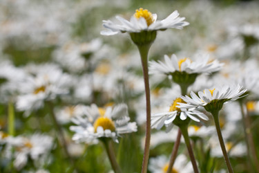 Similar image 5492785