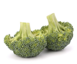 Similar image 5492799