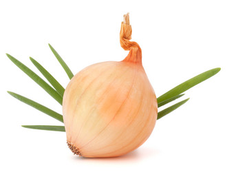 Similar image 5492825