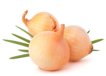 Similar image 5492832