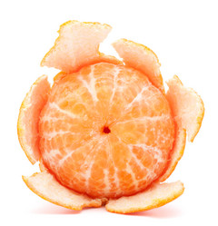 Similar image 5492842