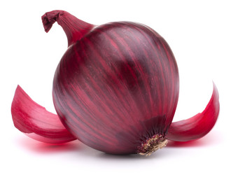 Similar image 5492855