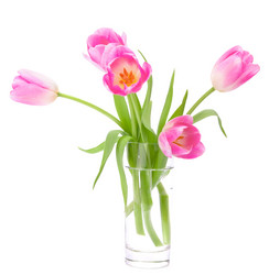 Similar image 5492864