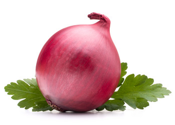 Similar image 5492870