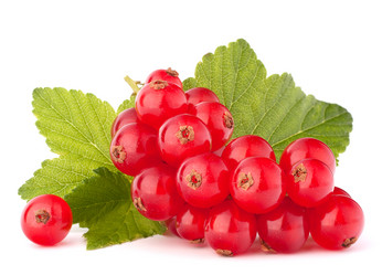 Similar image 5492899