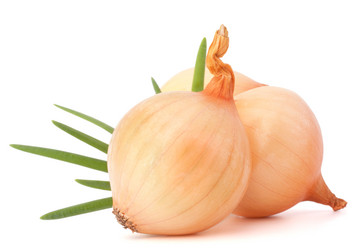 Similar image 5492903