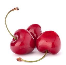 Similar image 5492912