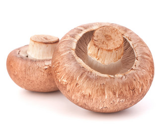 Similar image 5492930