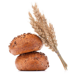 Similar image 5492940