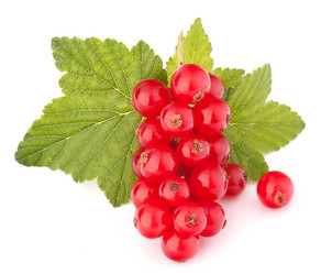 Similar image 5492945