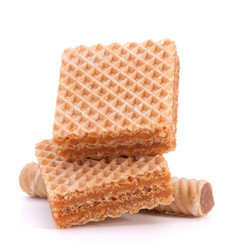 Similar image 5492956