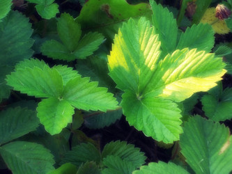 Similar image 5492964