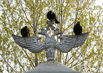 Similar image 5492965