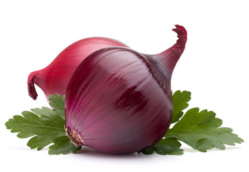 Similar image 5492969