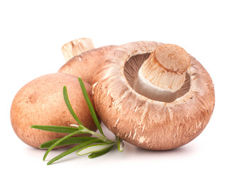 Similar image 5492984