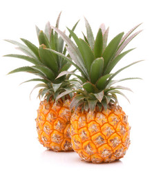 Similar image 5492994