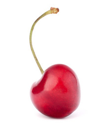 Similar image 5492995