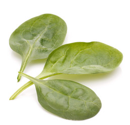 Similar image 5492998