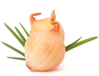 Similar image 5493000