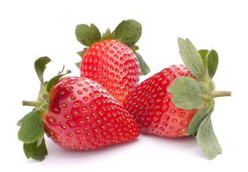 Similar image 5493005