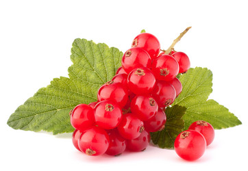 Similar image 5493012