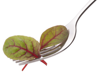 Similar image 5493058