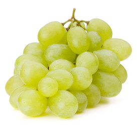 Similar image 5493066