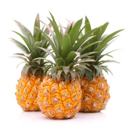 Similar image 5493071