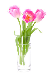 Similar image 5493073