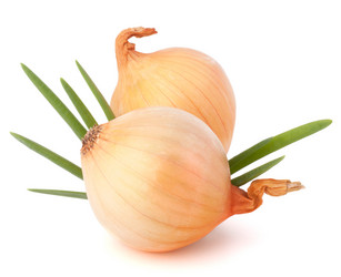 Similar image 5493084