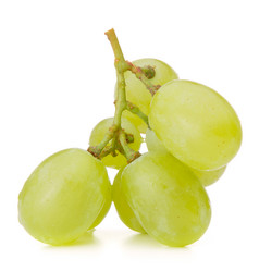 Similar image 5493091