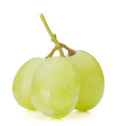 Similar image 5493093