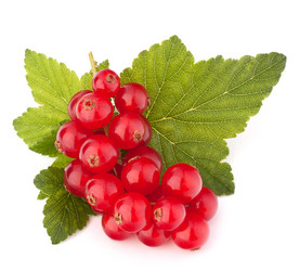 Similar image 5493096