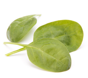 Similar image 5493130