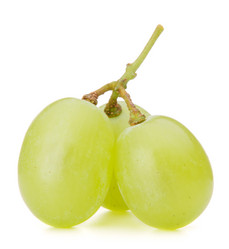 Similar image 5493151