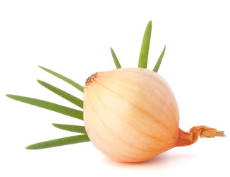 Similar image 5493156