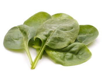 Similar image 5493159