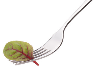 Similar image 5493176