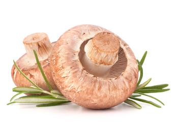 Similar image 5493182