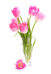 Similar image 5493196