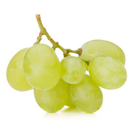 Similar image 5493253