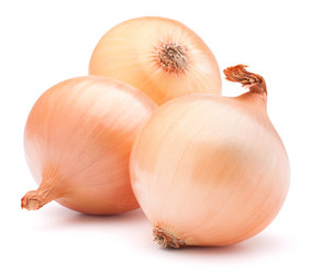 Similar image 5493282